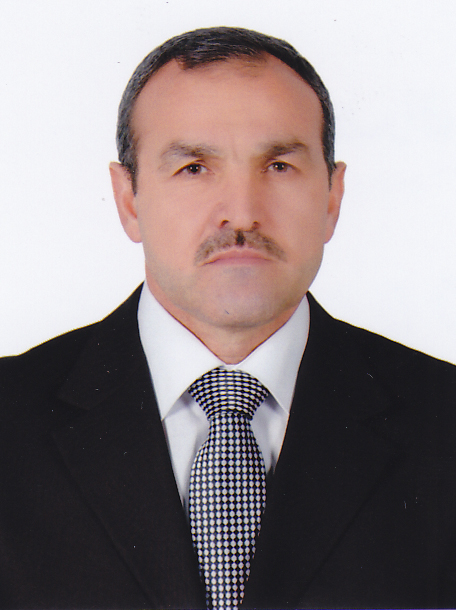 الدكتور محيي الدين علي حميدي