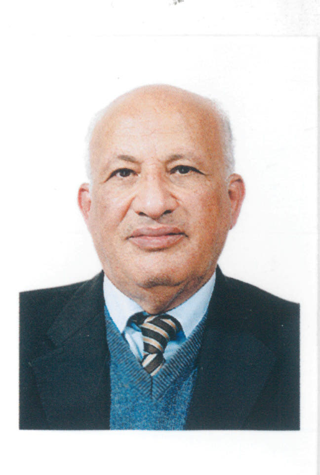 البروفيسور عبدالعزيز حمدى عبدالعزيز النجار.