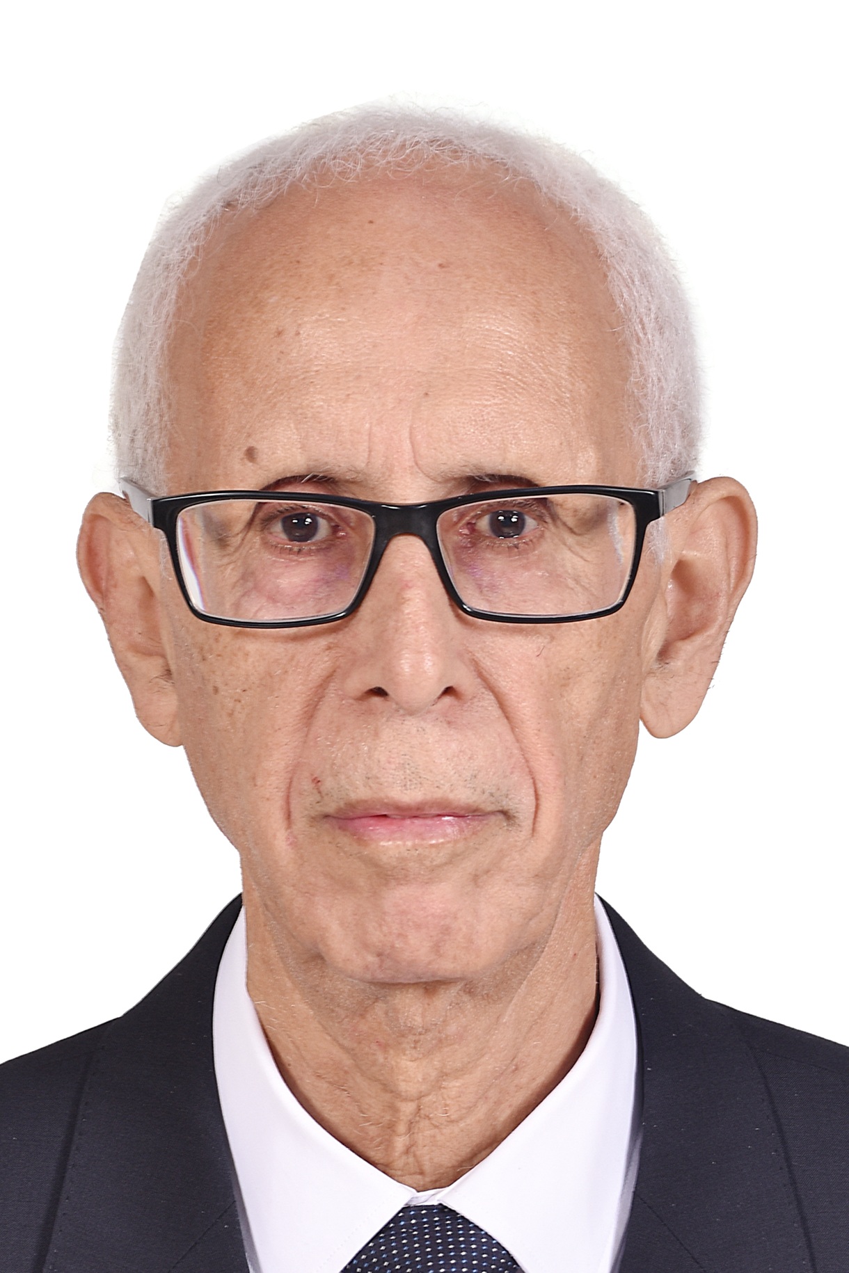 الدكتور/ محمد الديداوي - نمساوي الجنسية